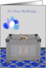 Birthday with a Cute Raccoon in a Playpen and a Bunch of Balloons card