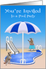 Invitations to Pool Party, general, Raccoons at pool side, umbrella card
