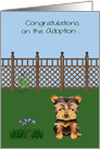 Congratulations On Adoption on a Yorkshire Terrier with a cute Dog card