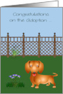 Congratulations On Adoption of a Dachshund with a Dog in a Yard card
