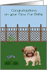 Congratulations on a New Pet Card with a Cute Pug Dog in a Yard card