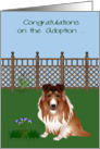 Congratulations On Adoption, Collie, Rescue, Shelter, yard with fence card