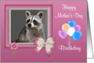 Birthday on Mother’s Day, general, Raccoon in bow frame, balloons card