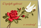 Sympathy For Loss in Hungarian with a White Dove and a Red Rose card