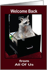 Welcome Back to Work from all of us, raccoon in a file cabinet card