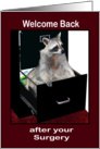 Welcome Back to Work after Surgery, raccoon in a file cabinet card