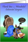Thank you to Colorectal Surgeon, horse with a blue harness, blanket card