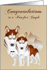 Congratulations, wedding for dog lovers, husky bride and groom card