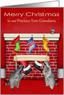 Christmas to Twin Grandsons, twin raccoons waiting on Santa Claus card