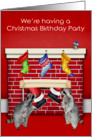 Invitations to Christmas Birthday Party, general, raccoons on red card
