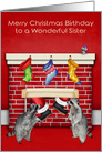 Birthday on Christmas to Sister, raccoons with Santa Claus on red card