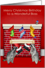 Birthday on Christmas to Boss, raccoons with Santa Claus on red card