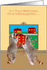 Birthday to Granddaughter with Adorable Raccoons Painting the Town Red card