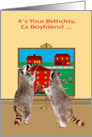 Birthday to Ex Boyfriend, Two adorable raccoons painting the town red card