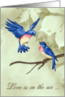 Love & Romance, love is in the air, two beautiful blue birds in love card