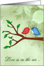 Love & Romance, love is in the air, cute birds in love sharing a worm card