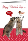 Valentine’s Day, love and romance, general, cute raccoons with cupid card