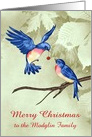 Christmas, to custom name, two beautiful blue birds, red ornament card