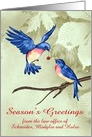 Season’s Greetings, business custom name, two beautiful blue birds card