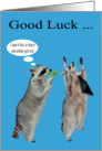 Good Luck, Black Friday Shopping, Raccoon holding a water gun card