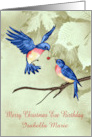 Birthday on Christmas Eve Custom Name with Two Beautiful Blue Birds card