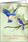 Birthday on Christmas with Two Beautiful Blue Birds and an Ornament card