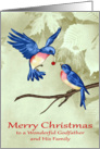 Christmas to Godfather and Family, two beautiful blue birds, ornament card