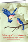 Christmas to Step Brother and Husband, two beautiful blue birds, red card