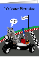 12th Birthday, humor, adorable raccoon driving a scooter, side car card