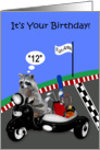 12th Birthday, humor, adorable raccoon driving a scooter, side car card
