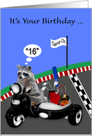 16th Birthday with an Adorable Raccoon Driving a Scooter and Side Car card