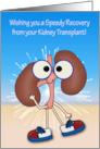 Get Well from Kidney Transplant Card wtth Happy Kidneys and Fireworks card