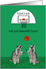 Good Luck, Tryouts, Basketball, general, raccoons playing ball card