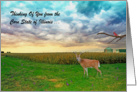Thinking of you from Illinois, across the miles, harvest time, USA card