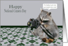 National Camera Day Observed on June 29th Raccoon Holding Camera card