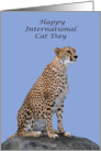 International Cat Day, August 8th, general, a beautiful cheetah card