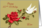 100th Birthday to Mum, white dove with a red rose on light green card