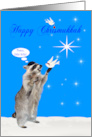 Chrismukkah with an Adorable Raccoon and a Beautiful White Dove card