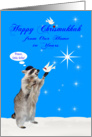 Chrismukkah from Our Home to Yours, interfaith, racoon with doves card