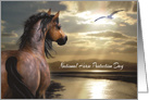 National Horse Protection Day, March 1st, general, horse and seagull card