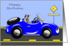 Birthday Age Humor with an Adorable Raccoon Driving a Blue Classic Car card