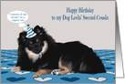 Birthday to Second Cousin, dog lover, Pomerian wearing a birthday hat card