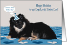 Birthday to Foster Dad, dog lover, Pomerian wearing a birthday hat card