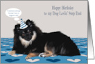 Birthday to Step Dad Dog Lover with a Pomeranian Wearing Birthday Hat card