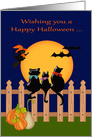 Halloween while Away at College with Three cats Gazing at a Full Moon card