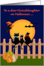 Halloween to Granddaughter Away at College with Three Cats Gazing card