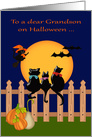 Halloween to Grandson away at College Card Cats Gazing at the Moon card