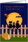 Halloween from the cat while away at college, three cats gazing, moon card