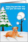 New Year’s from the dog, general, Golden Labrador in the snow, trees card