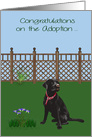 Congratulations On Adoption of a Black Labrador with a Dog and Flowers card
